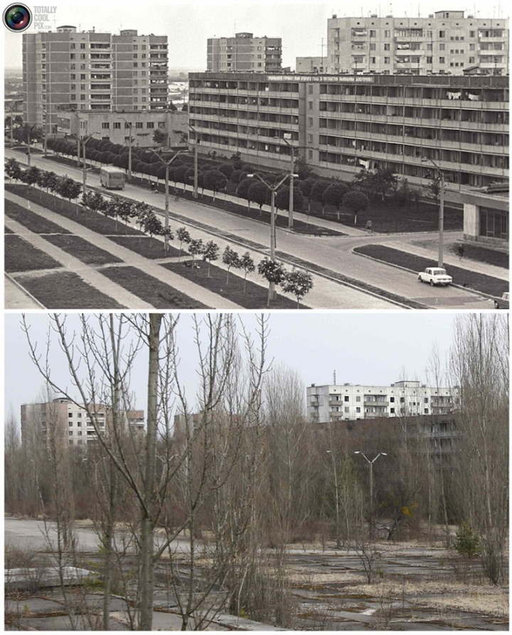 центральна улица Припяти в 1980-е годы и после, заросшее деревьями