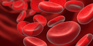 Первая помощь при кровотечениях: как остановить кровотечения разного характера, как наложить жгут