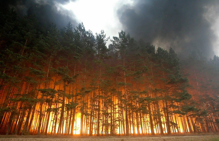 лесные пожары Россия 2010