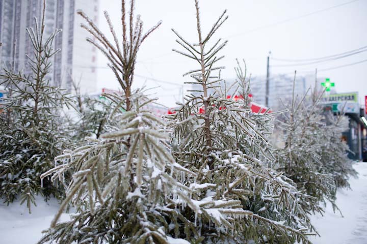 ледяной дождь в России, Москва, 2010, фото
