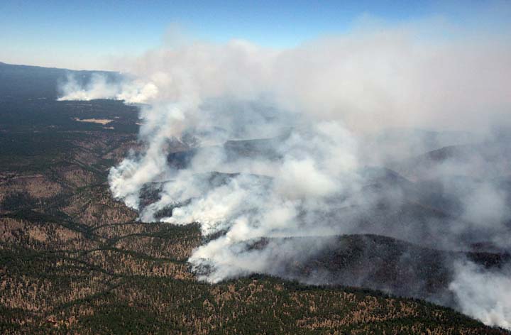 Лесные пожары а Аризоне, США 12.06.2011 (фото)