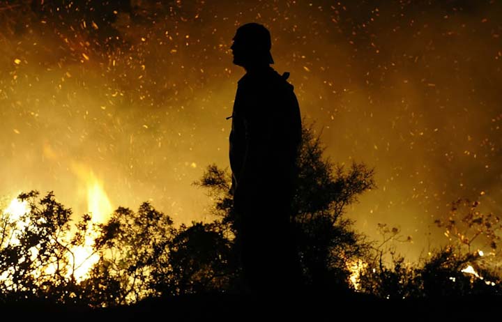 лесной пожар в Израиле 2010 год, Хайфа, тушение, последствия катастрофы