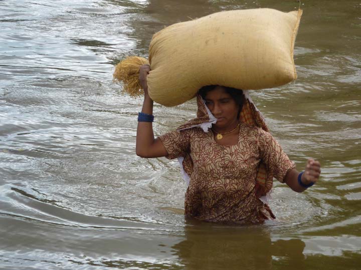 наводнение в Пакистане и Индии в 2011 году, последствия катастрофы, эвакуация, выживание, вода наступает, спасение от природных катаклизмов