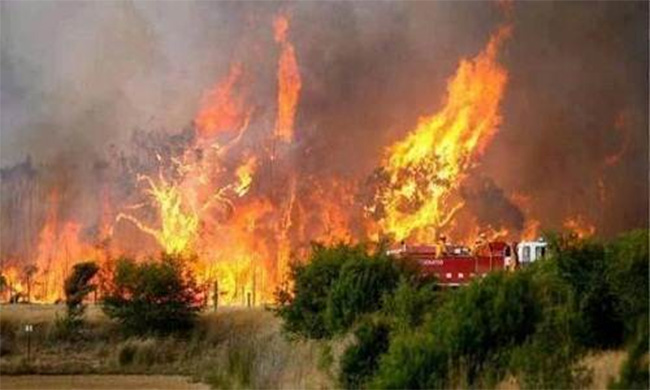 Лесной пожар в Сан-Луис-Потоси
