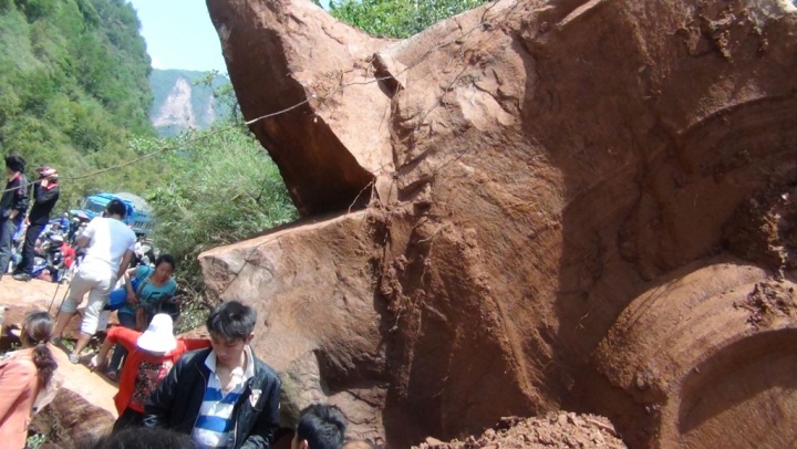 землетрясение в Китае 20.04.2013, последствия, фото из Китая