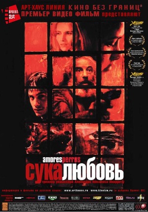 amores perros сука любовь постер фильма, испанские фильмы на испанском языке, лучшие