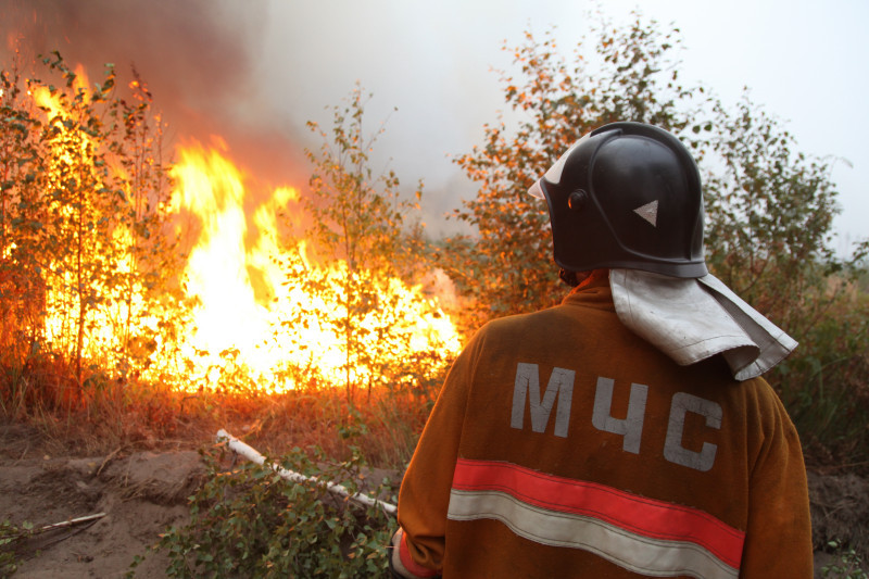Лесные пожары в России, 2014 (фото, видео)