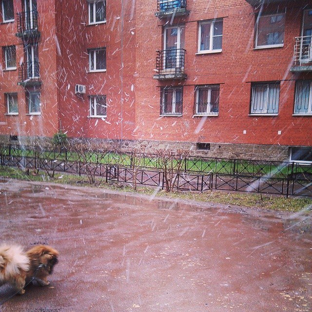 снегопад в Санкт-Петербурге