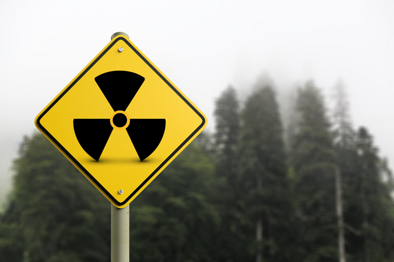 Знак ядерной радиоактивной опасности в лесной зоне отчуждения