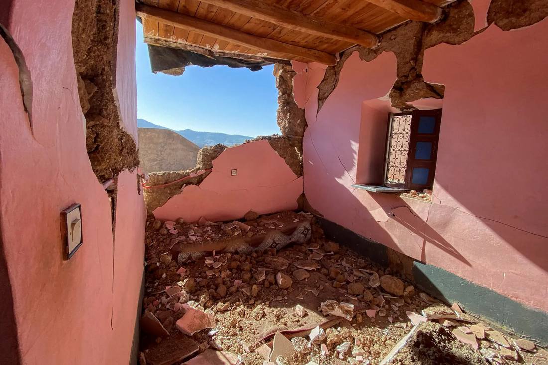 разрушенная стена дома, природа бушует в Африке